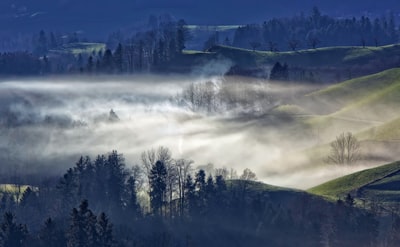 大雾山景观照片